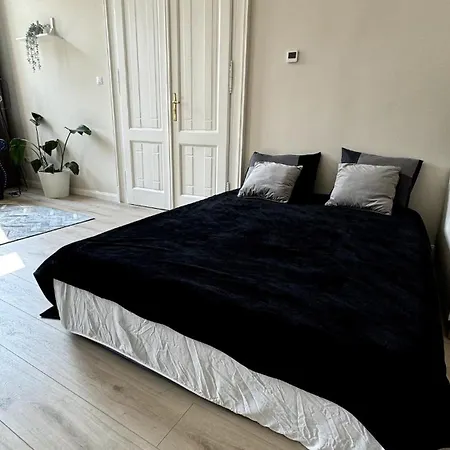 Unique Large Apartment In Central Budapest